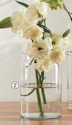 Lipped Vase 20.5cm