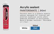 Painters Mate Acrylic Seal White-310ml