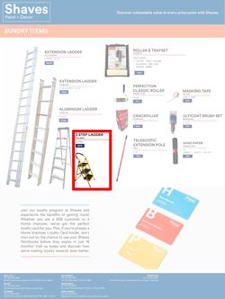 Shaves Paint & Decor : Painter's Pick (15 June - 14 July 2023), page 6