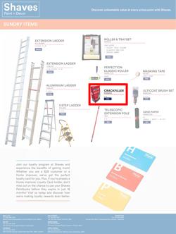 Shaves Paint & Decor : Painter's Pick (15 June - 14 July 2023), page 6