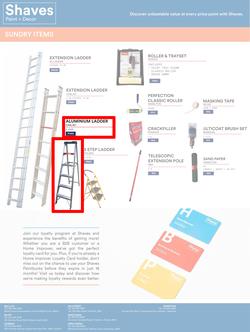 Shaves Paint & Decor : Painter's Pick (15 June - 14 July 2023), page 6