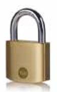 Yale Brass Padlock 1339276-Each