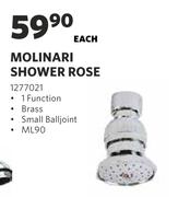 Molinari Shower Rose-Each