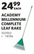 Academy Millennium Complete Leaf Rake-Each