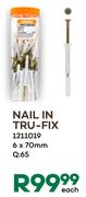 Nail In Tru-Fix 6 x 70mm (1211019)-For 65 Pack Each