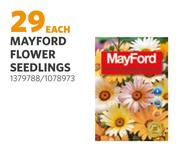 Mayford Flower Seedlings (1379788/1078973)-Each