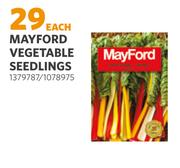 Mayford Vegetable Seedlings (1379787/1078975)-Each