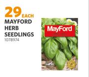 Mayford Herb Seedlings (1078974)-Each
