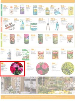 BUCO : Bolder And Better Buco Tokai (04 May - 28 May 2023), page 2