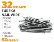 Eureka Nail Wire 1225809-Per Pack