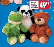 Animal Teddies Assorted - 37cm Each