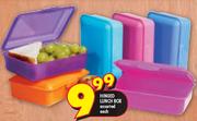 Hinged Lunch Box-Each