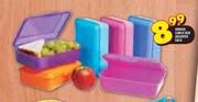 Hinged Lunch Box Assorted-Each