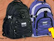 Steelers 3-Division Backpack Assorted Each