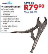 Chamber Value Vice Locking Plier 250mm(30-3684)