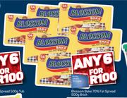 Blossom Bake 70% Fat Spread Brick-Any 6 x 500g