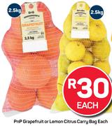 PnP Grapefruit Or Lemon Citrus Carry Bag-2.5Kg Each