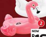 Intex Flamingo Ride On-Each