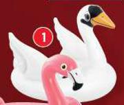 Intex Swan Ride On-Each