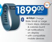 Fitbit Charge Slate Small Or Large-Each