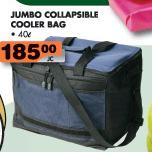 Jumbo Collapsible Cooler Bag-40Ltr
