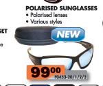 Polarised Sunglasses