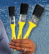 Addis 5 Piece Cub Paint Brush Set