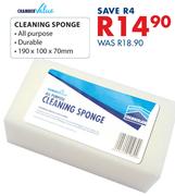 Chamber Value Cleaning Sponge-190 x 100 x 70mm