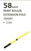 Academy Paint Roller Extension Pole 2.5m-Each