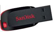 SanDisk 32GB Cruzer Blade Flash Drive