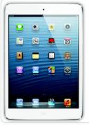 iPad 16GB Mini