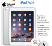 iPad Mini With Wi-Fi 16GB-On MyGig 1