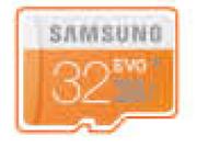Samsung 32GB Evo Micro SD-For 2