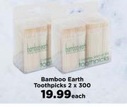 Bamboo Earth Toothpicks-2 x 300 Each