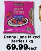 Penny Lane Mixed Berries-1Kg Each