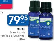 Clicks Essential Oils Tea Tree Or Lavender-20ml Each