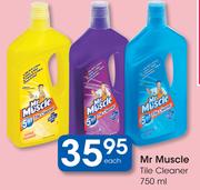 Mr Muscle Tile Cleaner-750ml Each