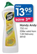 Handy Andy-750Ml