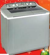 Defy Metallic Twin Tub-13Kg