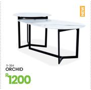 Orchid 11-384