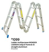 Wonder Ladder Ladder Multipurpose (6 Step A-Frame & 12 Straight Aluminium)