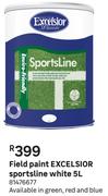 Excelsior Sportsline Field Paint White 5L 81476677