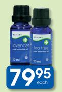 Clicks Essential Oil Tea Tree Or Lavender-20ml Each