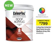 Colourtec 20L Exterior Roof Paint Acrylic Medium Grey 81493122