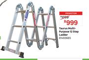 Taurus Multi Purpose 12 Step Ladder 81493685