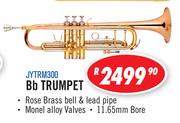 Jinyin Bb Trumpet JYTRM300