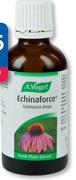 A. Vogel Echinaforce Drops-50ml