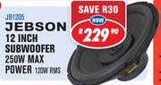 Jebson 12" Subwoofer 250W Max Power 120W RMS JB1205