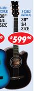 Sanchez Size 38" 3/4 Classical & Steel String Guitars A-C38L2(SS38L1)