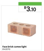 Face Brick Cameo Light